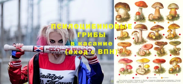 spice Баксан